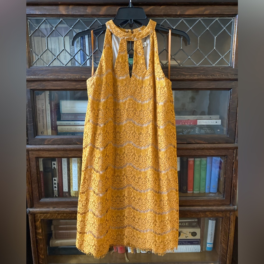 Dry Goods Summer Sheath Party Dress